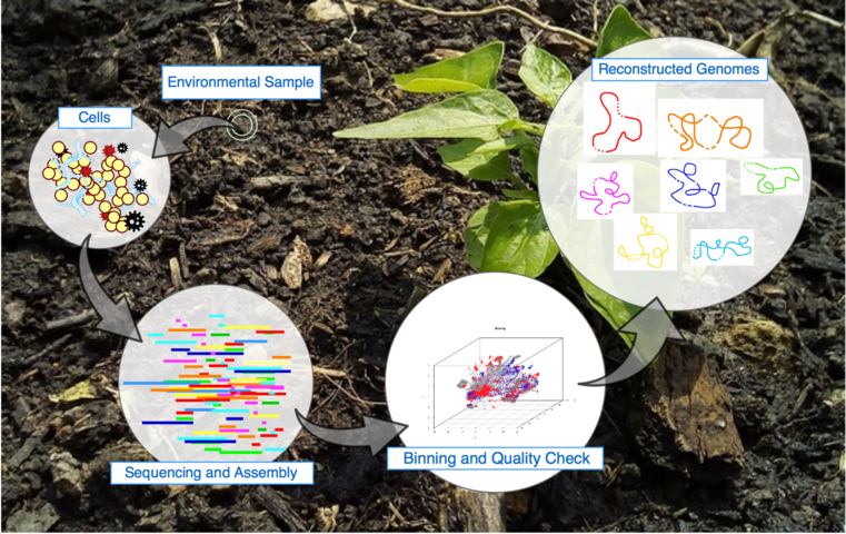 Mikrobial Systems Data Science